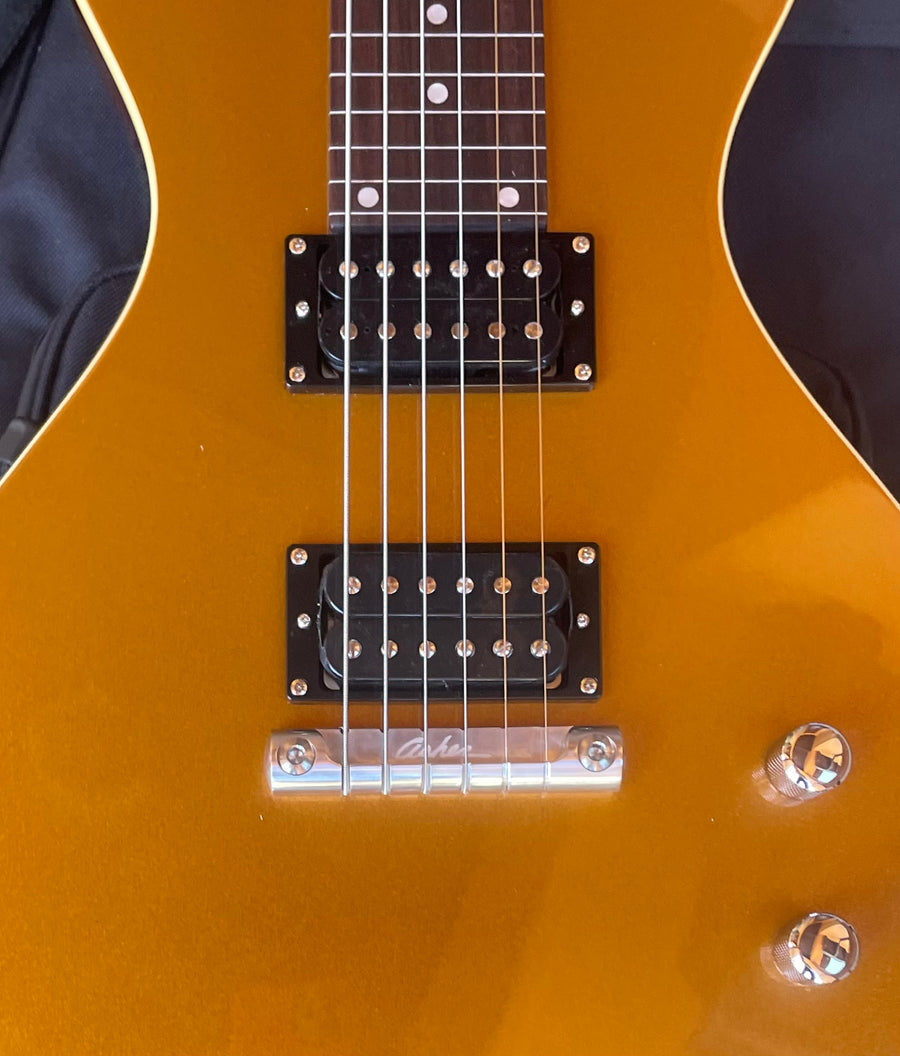 FACTORY SECOND 2023 Electro Hawaiian® Junior Lap Steel Gold Top with Gig Bag EXTRA STRINGS INCLUDED!!