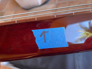 SOLD FACTORY SECOND 2024-25 Asher Electro Hawaiian® Junior Lap Steel Gold Top with Gig Bag!!