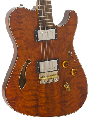 SOLD Asher Guitars 2015 Hollow T Deluxe Custom #842 with California Redwood top and custom wound pickups