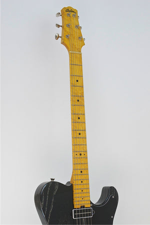 SOLD Asher 2013 T Deluxe™ Guitar, Dog Hair Nitro, #767