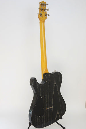SOLD Asher 2013 T Deluxe™ Guitar, Dog Hair Nitro, #767