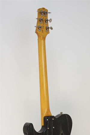 SOLD Asher 2013 T Deluxe™ Guitar, Dog Hair Nitro, #767