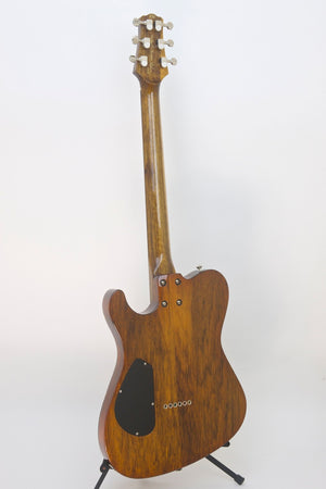 SOLD Asher Guitars 2015 Hollow T Deluxe Custom #842 with California Redwood top and custom wound pickups
