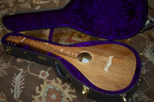 SOLD Used Asher Acoustic Hawaiian Teardrop Lap Steel with Custom Hard Case - Near Mint