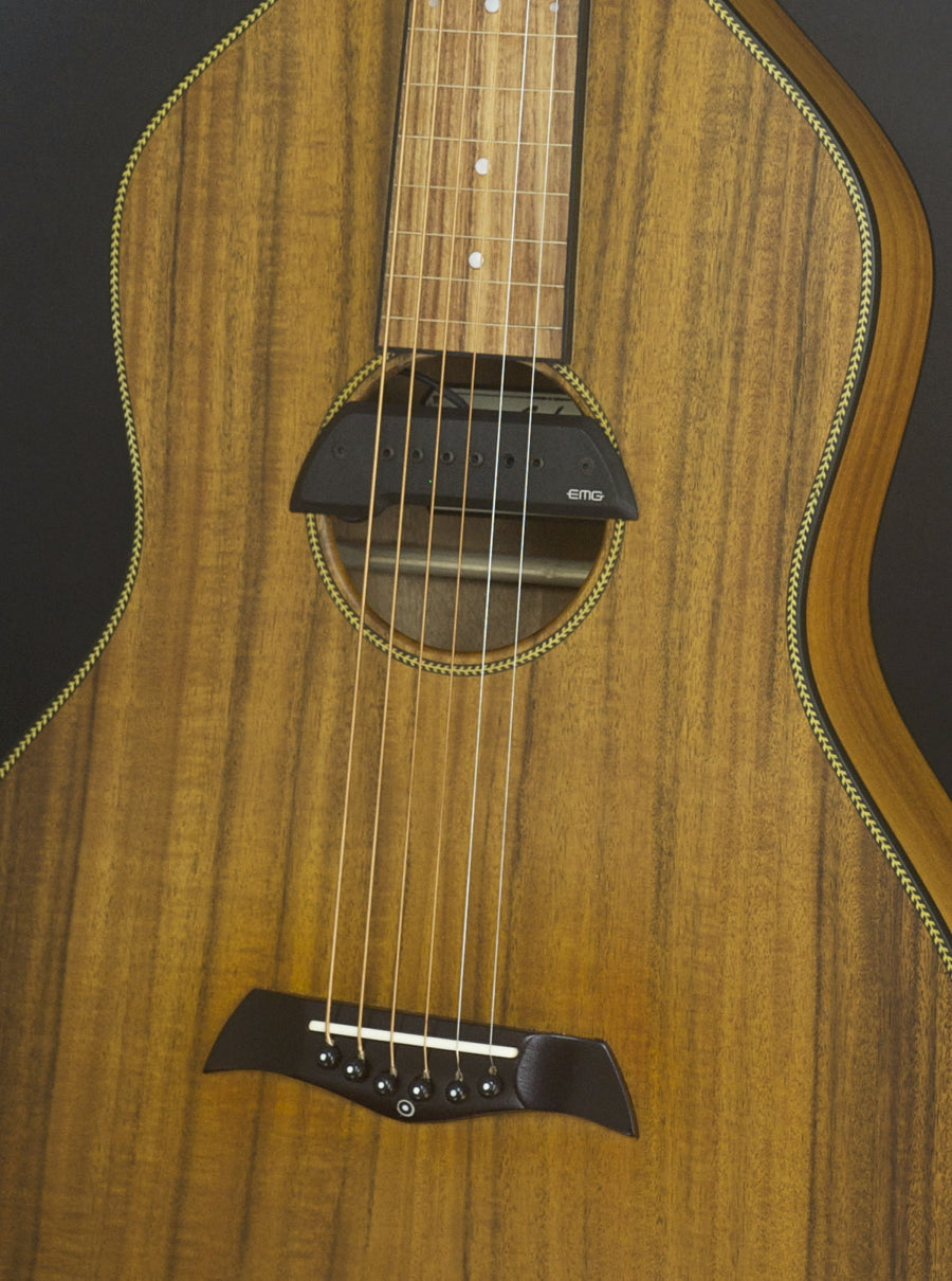SOLD Upgraded Acoustic Hawaiian Imperial Lap Steel w/ EMG Pickup - #027
