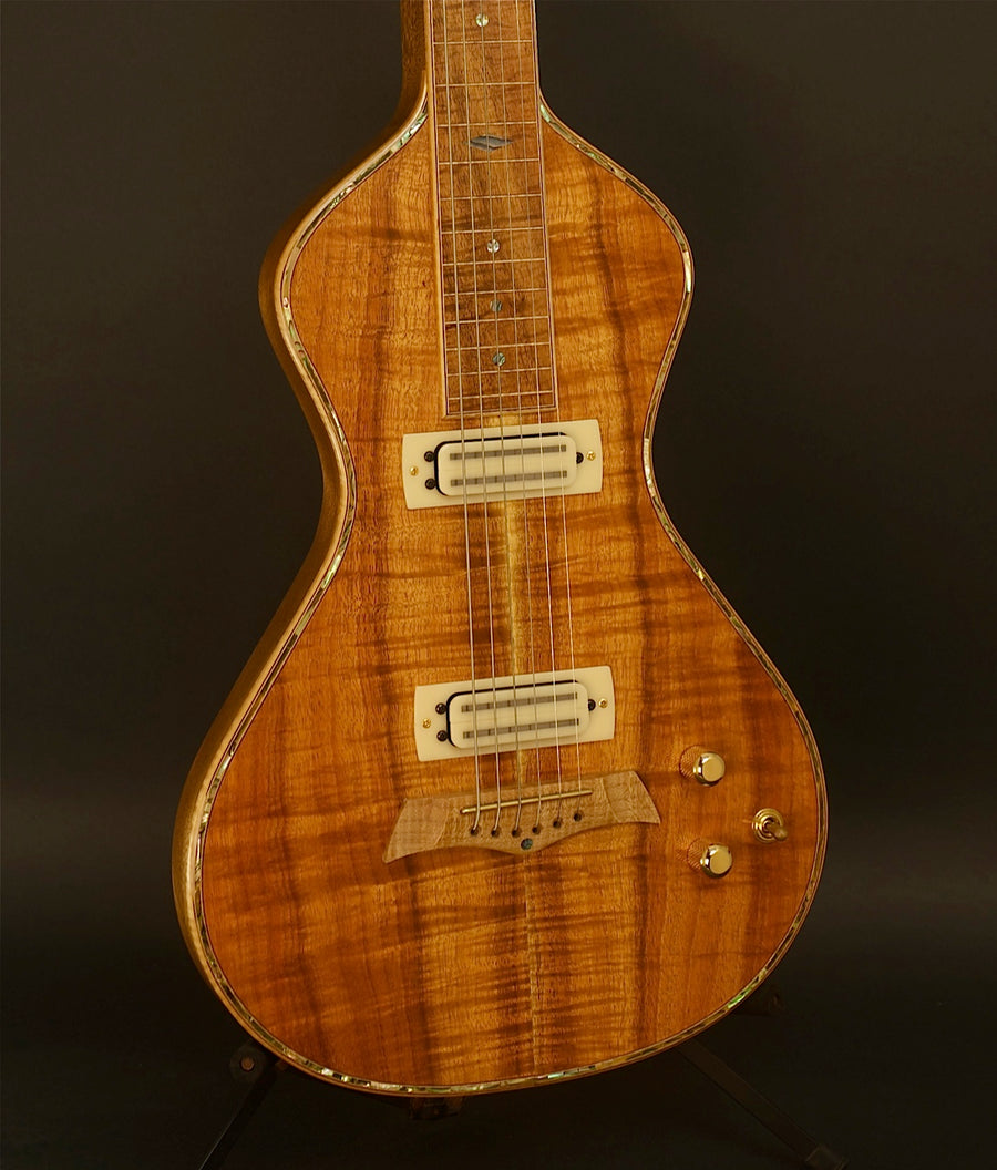 SOLD Asher Electro Hawaiian Model I Lap Steel,  #572