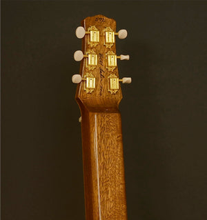 SOLD Asher Electro Hawaiian Model I Lap Steel,  #572