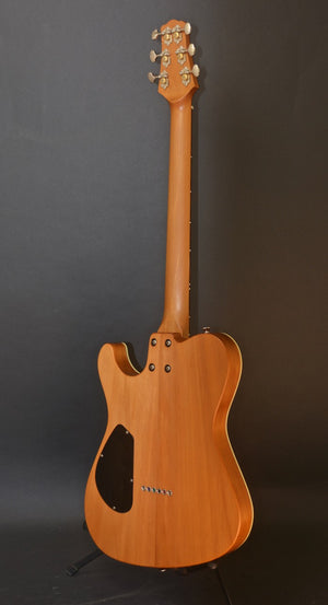 SOLD Asher 2018 T Deluxe Master Series with Prehistoric Kauri Wood Body and Neck, #1044