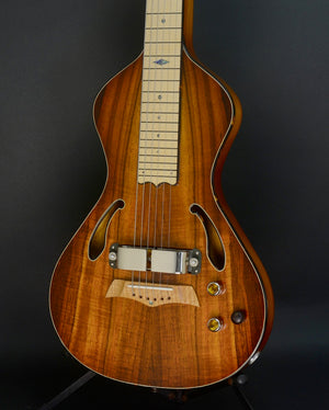 SOLD 2018 Asher Dual Tone Semi Acoustic Lap Steel Guitar with Vintage 60s Horseshoe magnet and Asher Coil, #1051