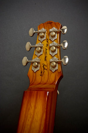 SOLD 2018 Asher Dual Tone Semi Acoustic Lap Steel Guitar with Vintage 60s Horseshoe magnet and Asher Coil, #1051