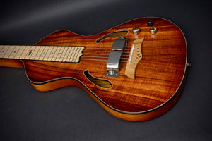 SOLD 2018 Asher Dual Tone Semi Acoustic Lap Steel Guitar with Vintage 60s Horseshoe magnet and Asher Coil, #1051