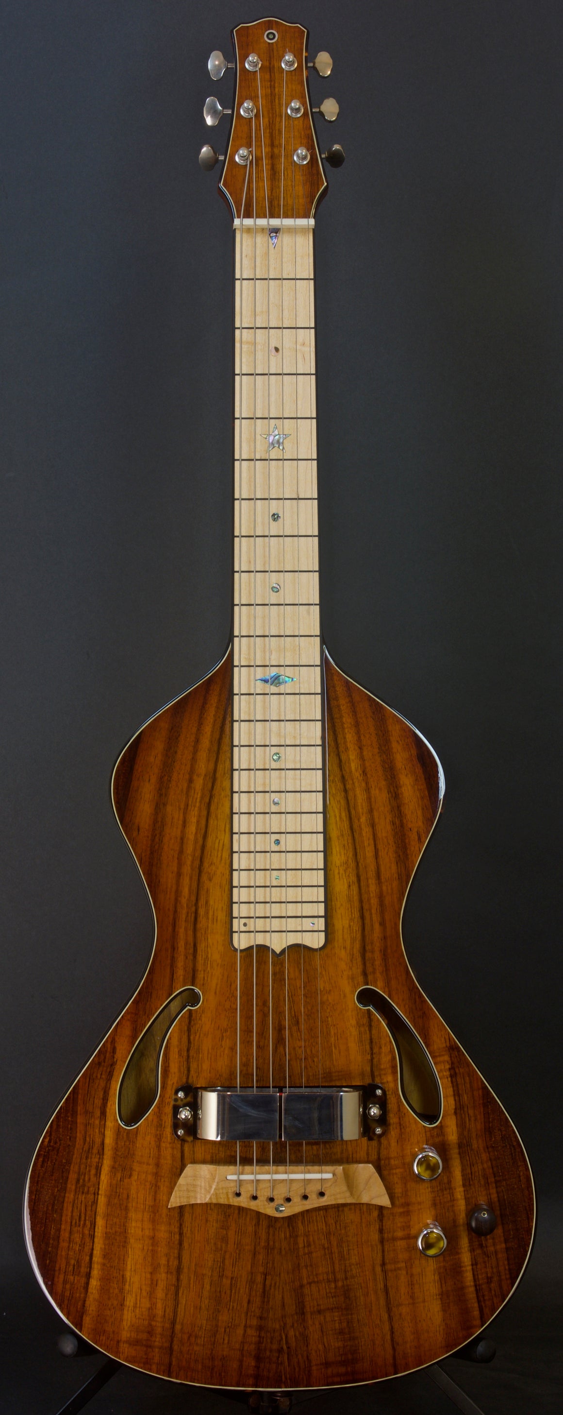 SOLD 2018 Asher Dual Tone Semi Acoustic Lap Steel Guitar with Vintage 60s Horseshoe magnet and Asher Coil, #1051