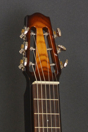 SOLD Asher Electro Hawaiian Short Scale -  23 inch - with Custom Lollar pickup #993