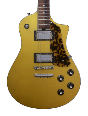 SOLD Electro Sonic Gold Top #1026, Blues Bucker Pickup Set with Custom Face Plates, Custom Details