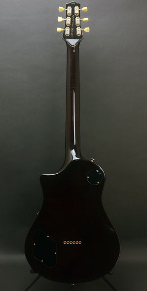 SOLD Electro Sonic Gold Top #1026, Blues Bucker Pickup Set with Custom Face Plates, Custom Details