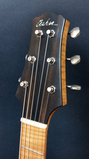SOLD Asher T Deluxe Roasted Swamp Ash, Anodized Metal Guard, #955 Thin Skin Nitro